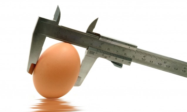 メジャーで卵の大きさを測っている写真｜副腎疲労blog